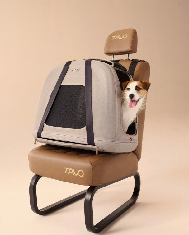 提袋型寵物汽座