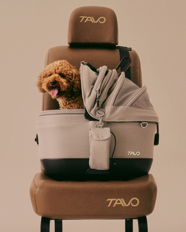 寵物汽車安全座椅