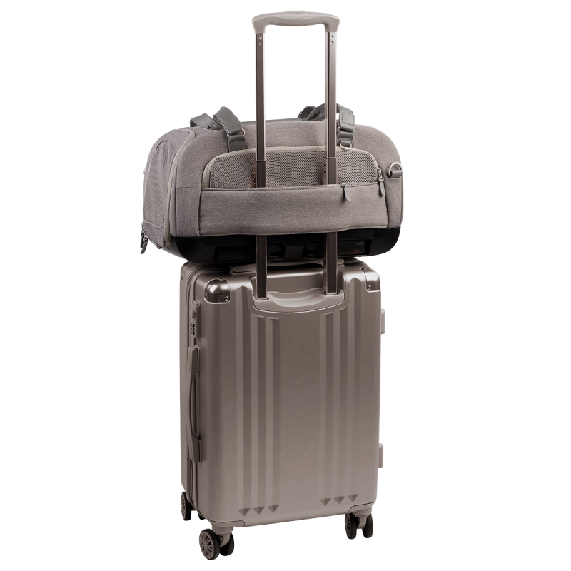 Dupree II 雙提帶寵物汽座