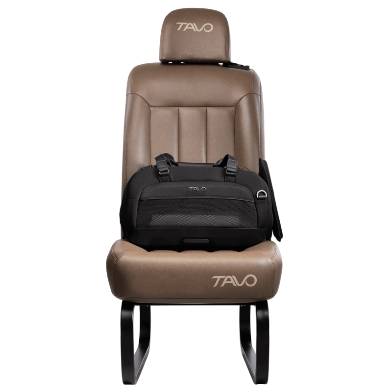 Dupree II 雙提帶寵物汽座