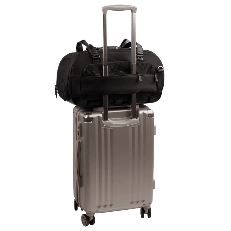 Dupree II 雙提帶寵物汽座