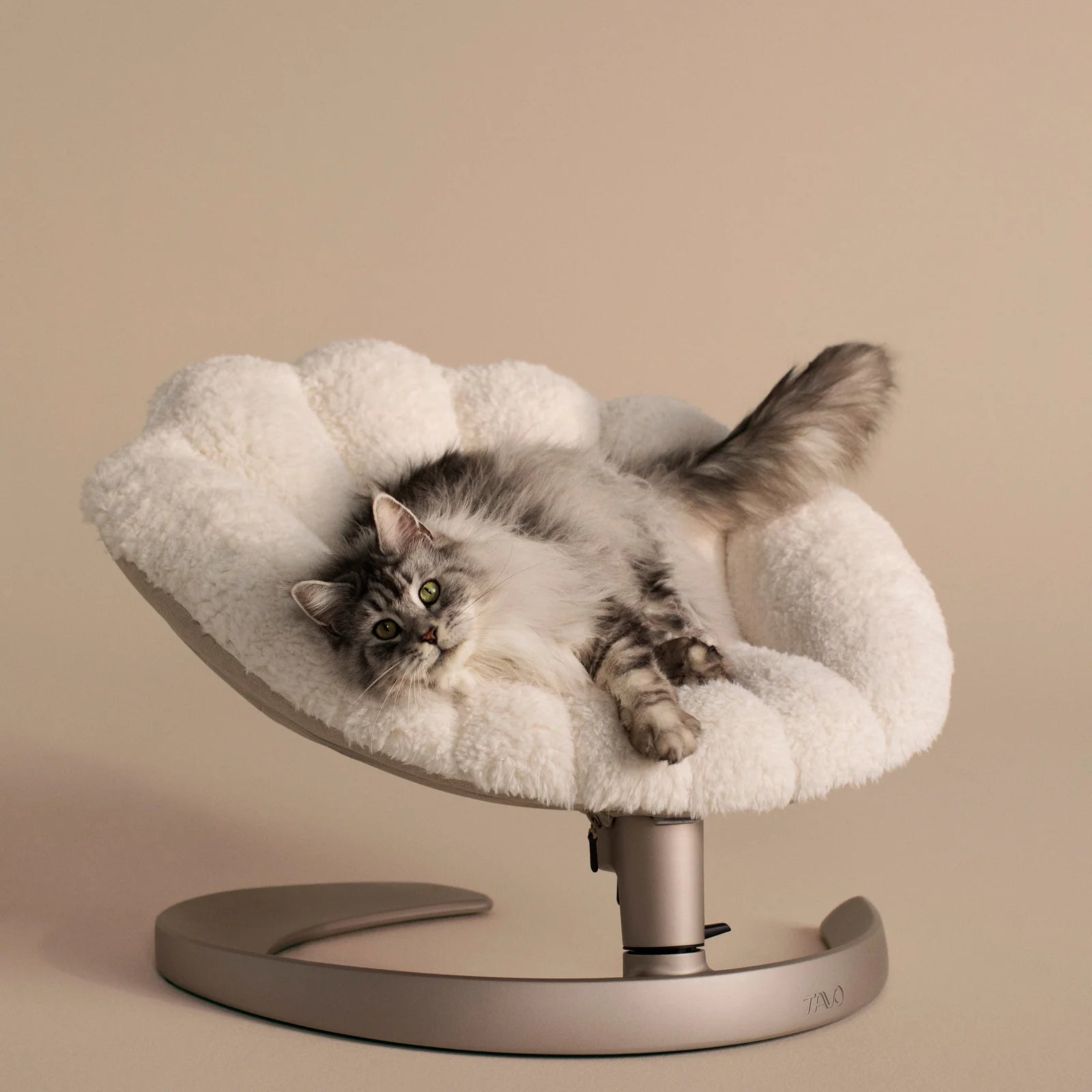 Shell 寵物安撫搖椅