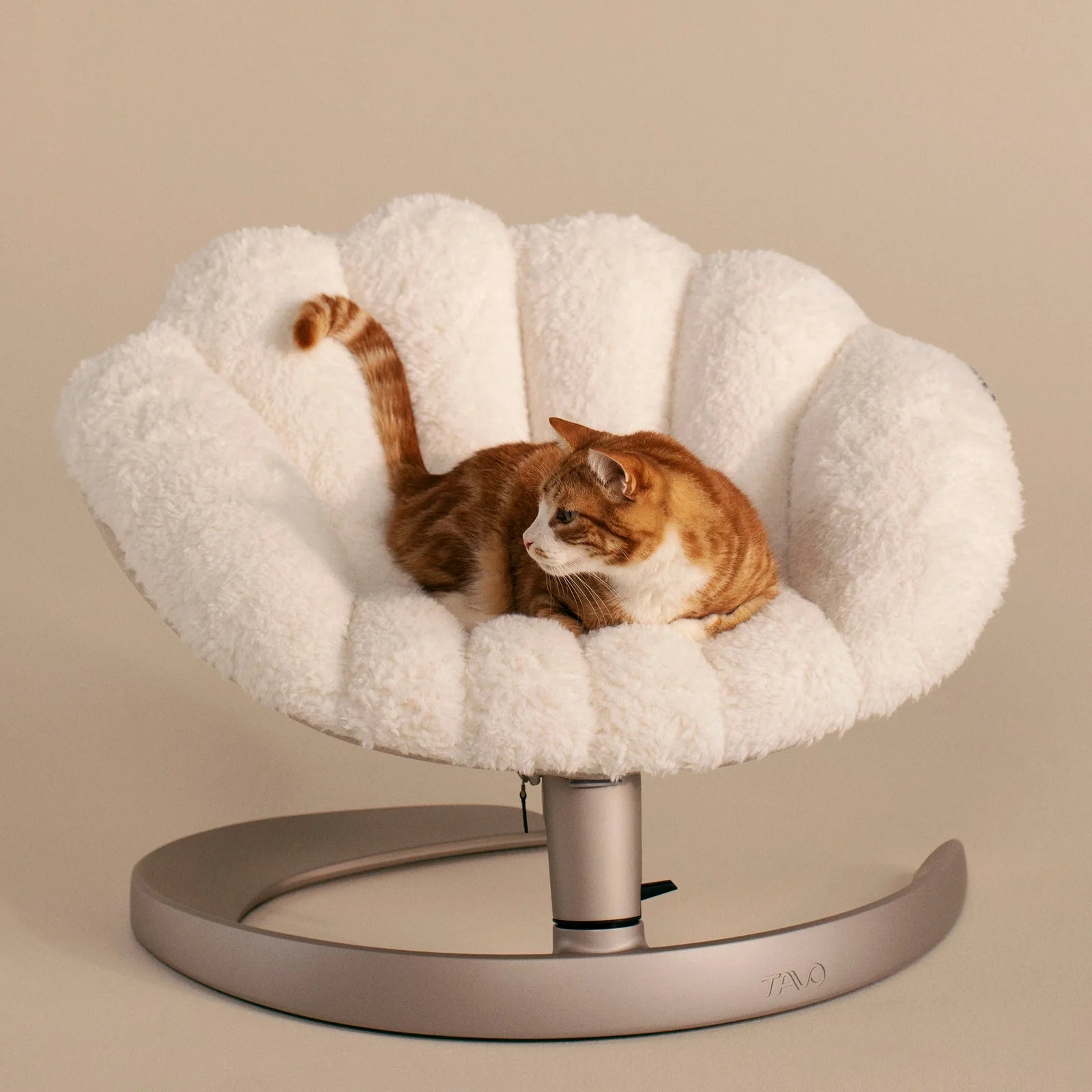 Shell 寵物安撫搖椅