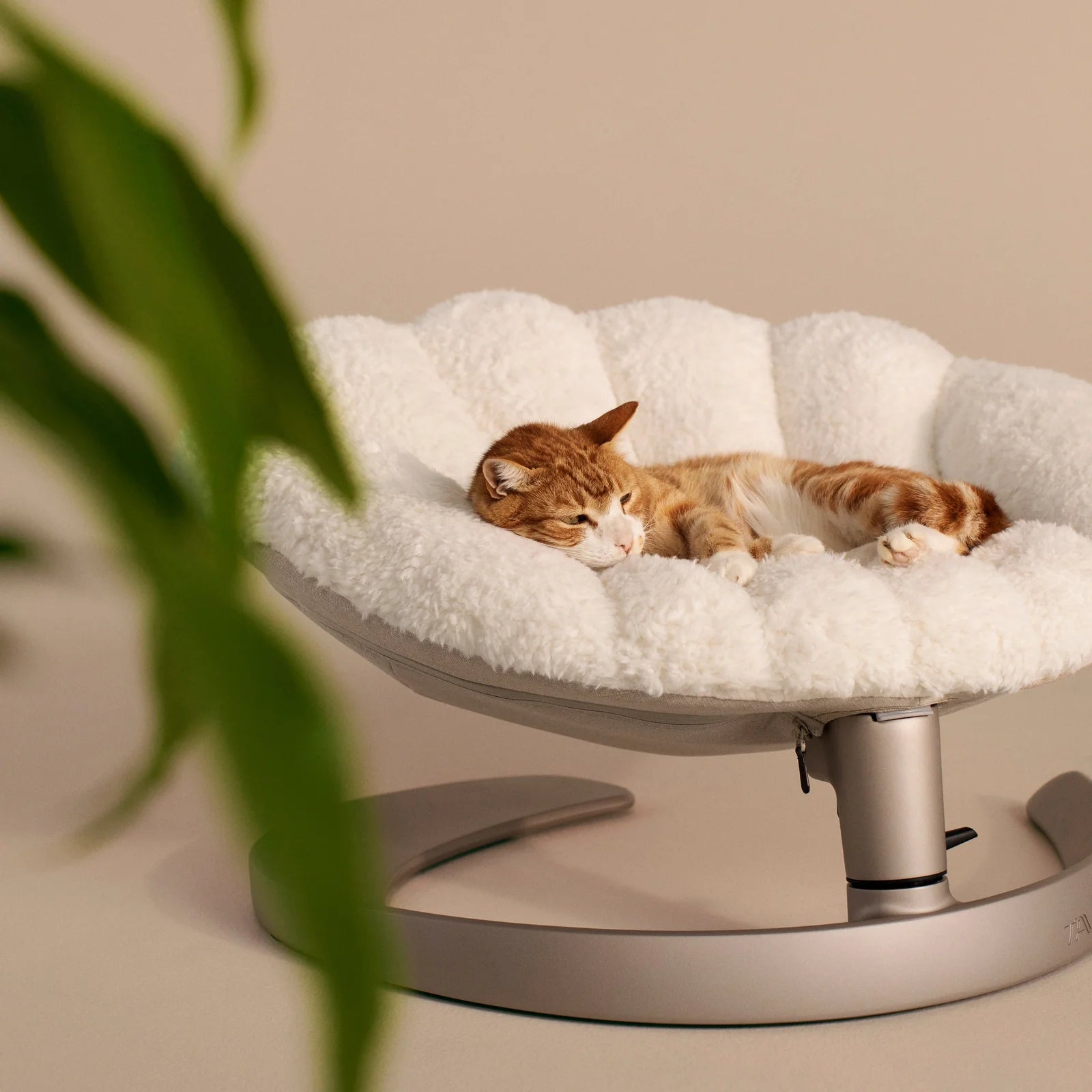 Shell 寵物安撫搖椅