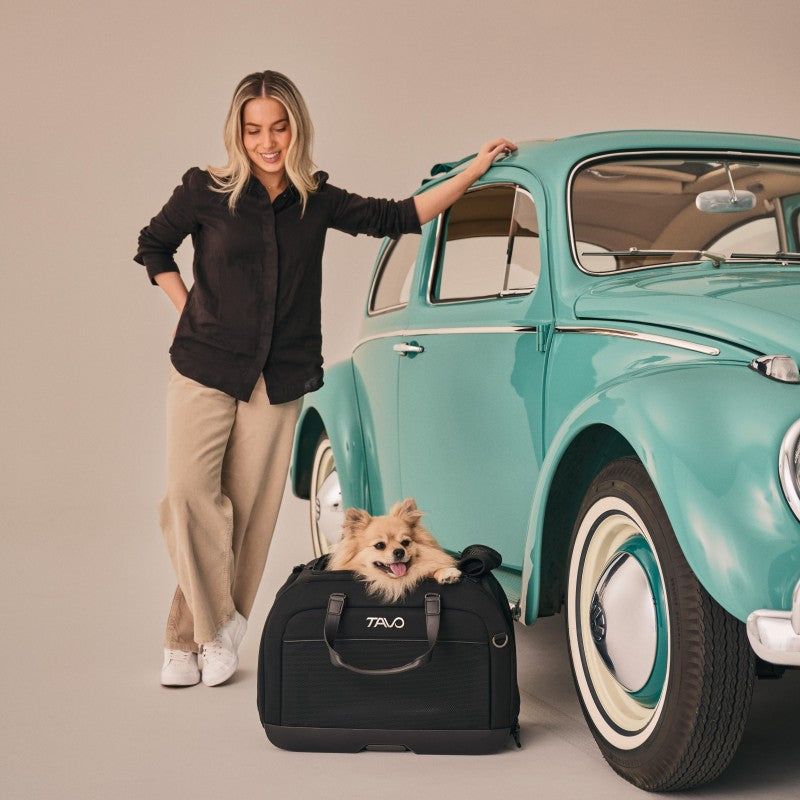 Hendrick 提袋型寵物汽座