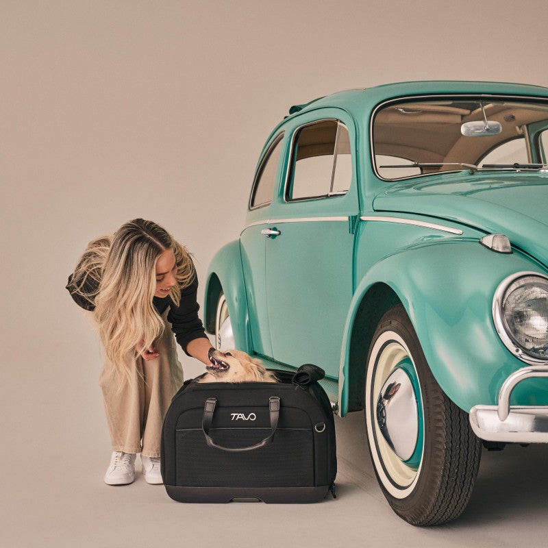 Hendrick 提袋型寵物汽座