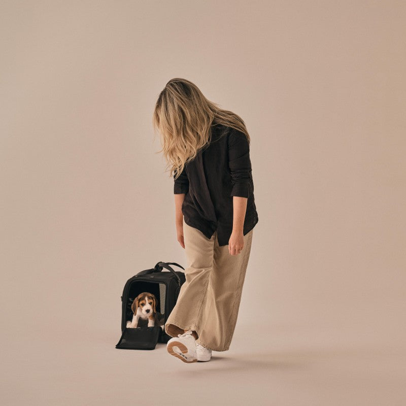 Hendrick 提袋型寵物汽座