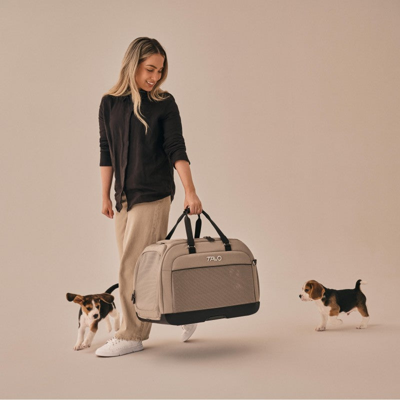 Hendrick 提袋型寵物汽座