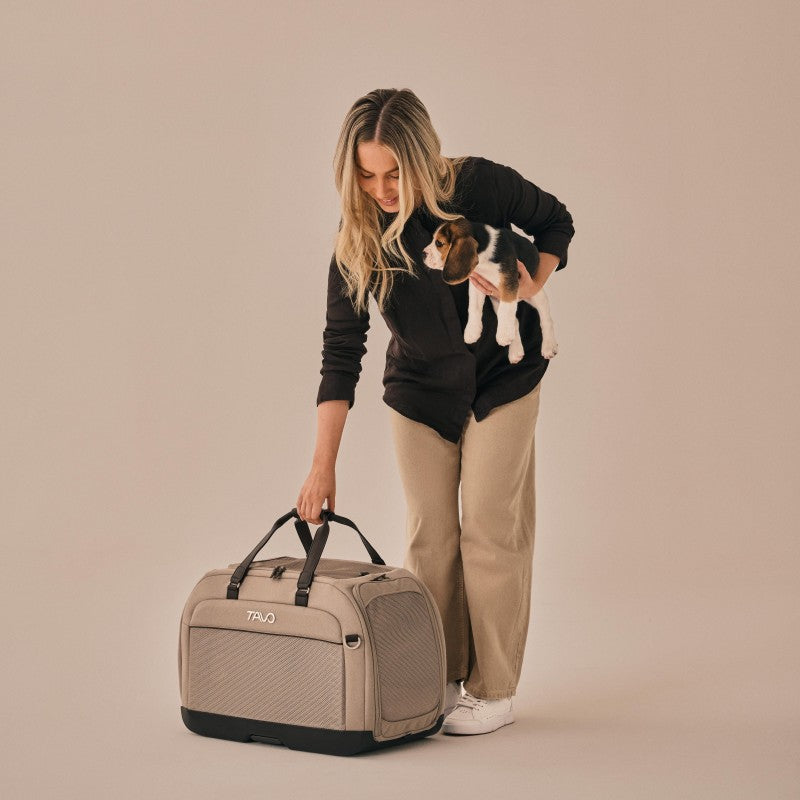 Hendrick 提袋型寵物汽座