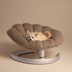 Shell 寵物安撫搖椅