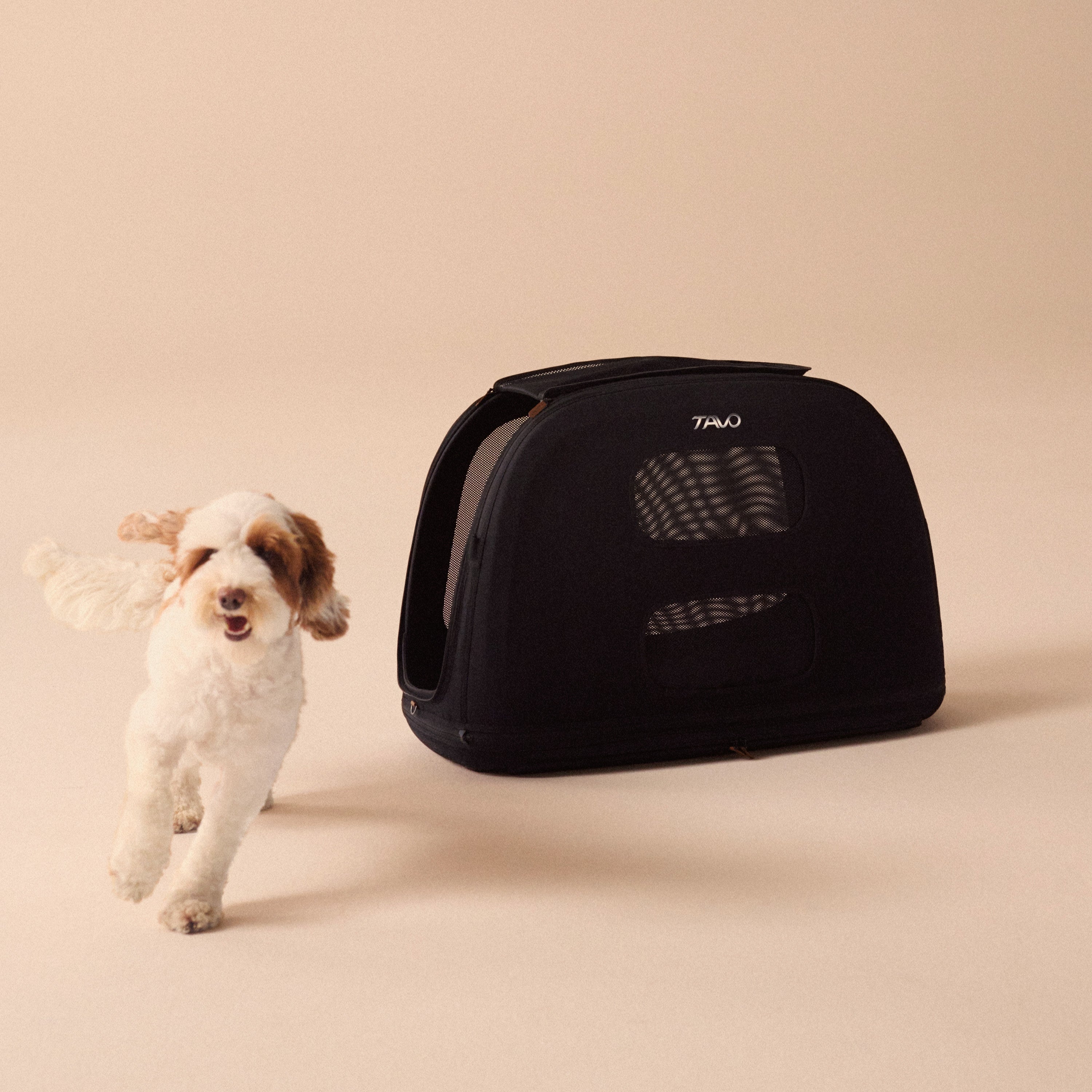 Crispin 寵物旅行箱汽座