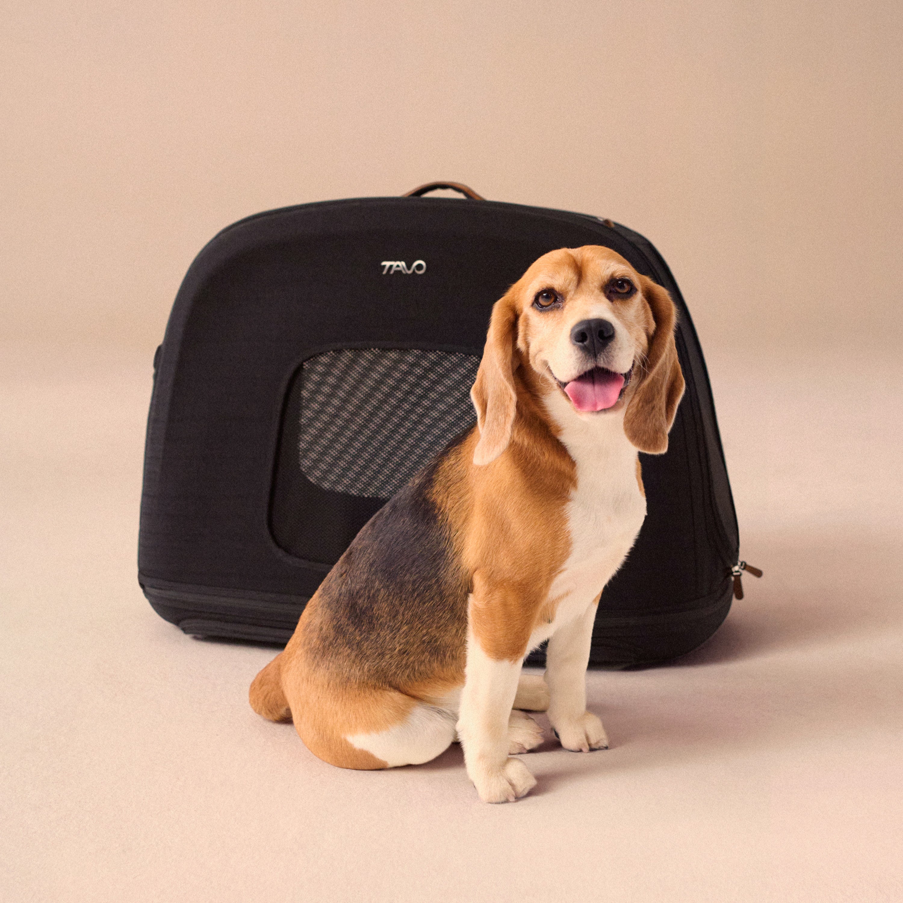 Crispin 寵物旅行箱汽座