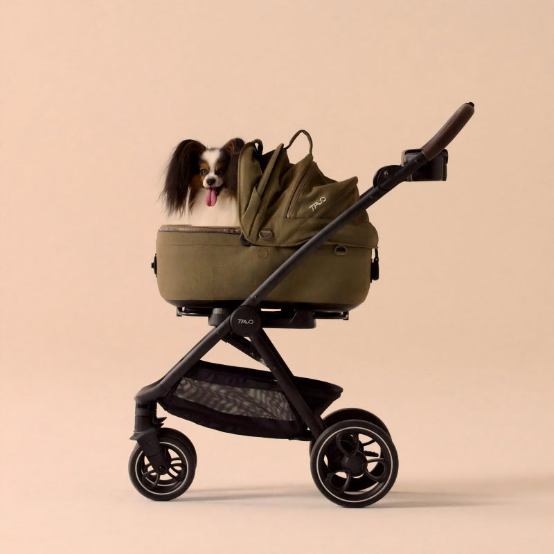 Roscoe 寵物推車車架