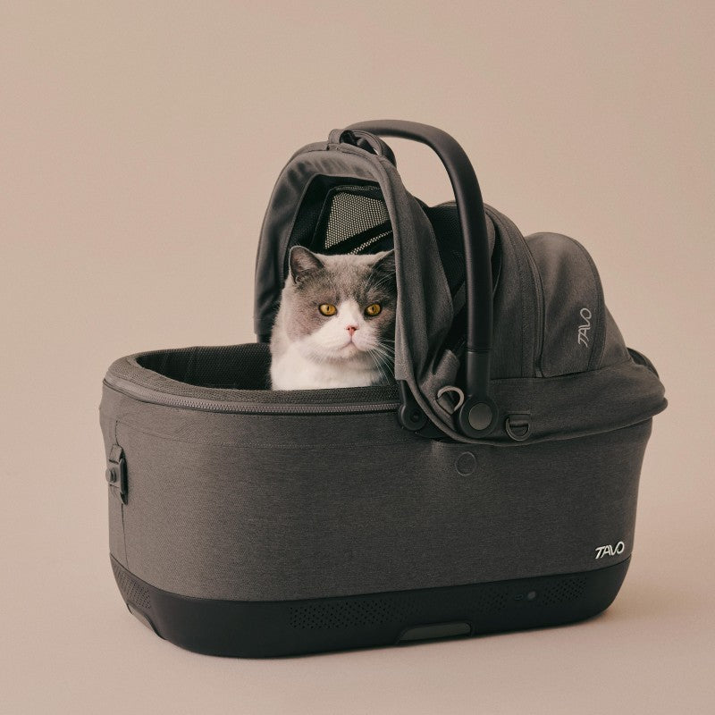 Maeve™ iso 寵物汽車座椅 (R129 I-size)